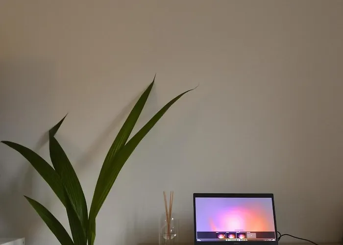 Dora Retreat 아파트